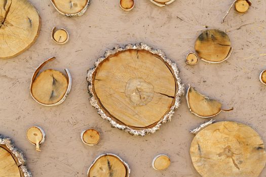 Natural cut of a wooden log background. Texture of wind cut wood, rings of cut tree