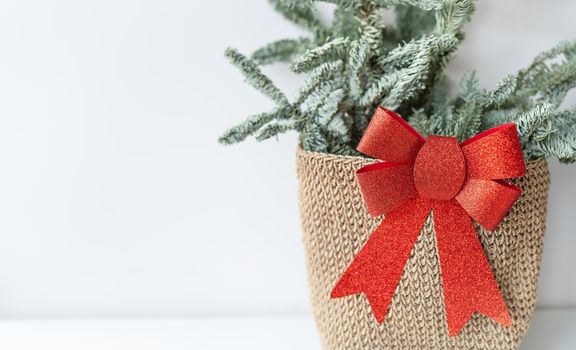 Beautiful small Christmas tree on wooden table. Happy mood. Garland lamp bokeh on background. Wallpaper. Danish pine and fir, Nobilis