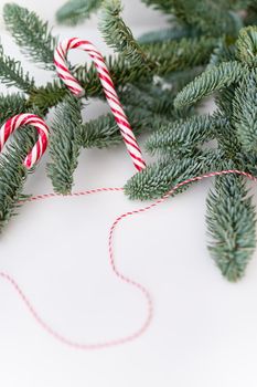 Decorated nobilis christmas tree with candy canes and red thread. Preparing for Christmas and New Year 2023-2024. Place for an inscription