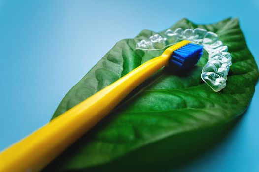 a new bright toothbrush and transparent plastic straighteners lie on a juicy green leaf from a flower and a blue background.