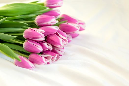 A beautiful bouquet of beautiful pink tulips lies on a white bed on white fabric in daylight. copy space.