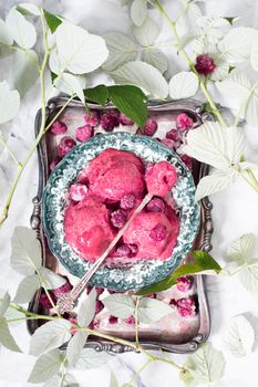 Raspberry purple ice cream sorbet on a silver plate surrounded by green leaves, summer dessert, top view. High quality photo