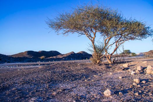 Mountainous road in emirate of Sharjah, UAE. Outdoor