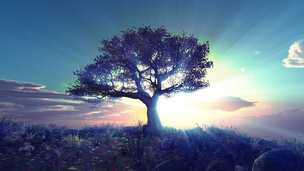 tree spring in meadow sunset illustration, 3d rendering