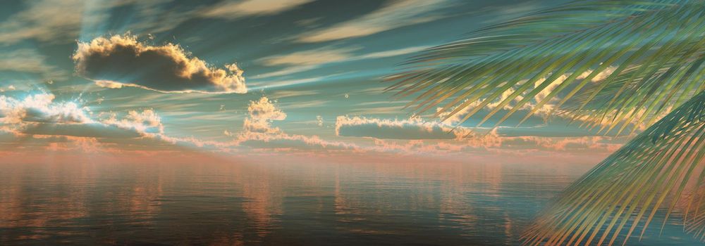 sunset sea palm landscape illustration, 3d render