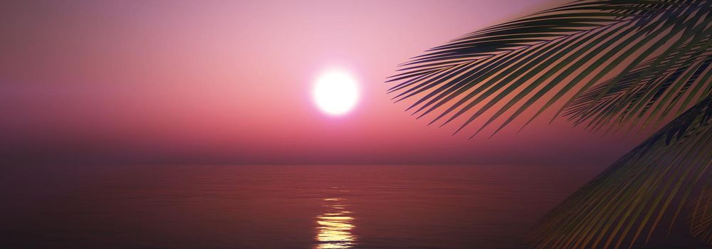 sunset sea palm landscape illustration, 3d render