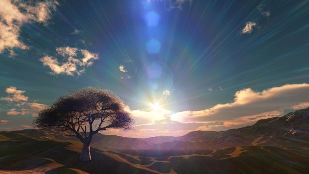 sunset at meadow and lonely tree, 3d render illustration