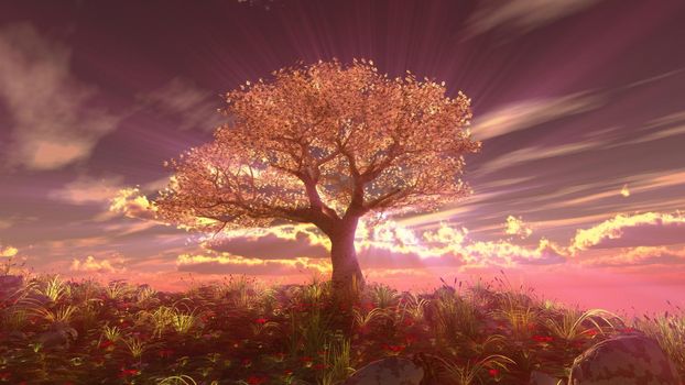 tree spring in meadow sunset illustration, 3d rendering