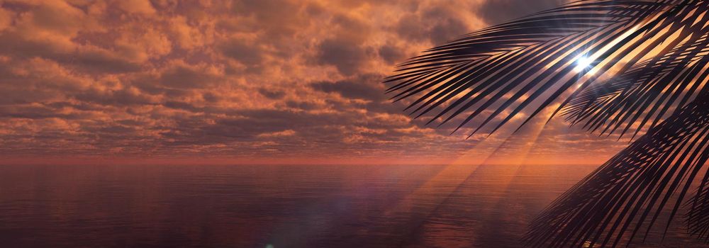 sunset sea palm landscape illustration, 3d render