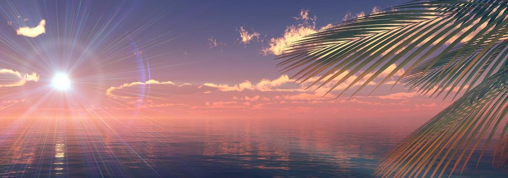 sunset sea palm landscape illustration, 3d render