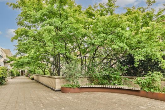 View of street near building with beauty of vegetation outside