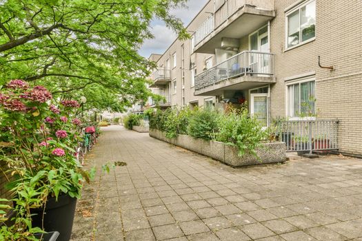 View of street near building with beauty of vegetation outside