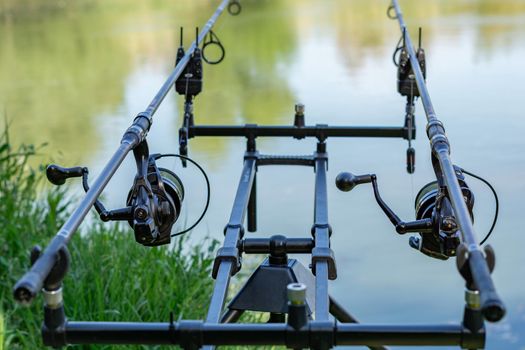 fishing session in the ebro river adult man with beard carp fishing