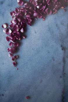 Art of flowers, wedding invitation and nature beauty concept - Rose petals on marble stone, floral background