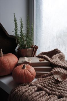There is a warm scarf and ripe pumpkins on the windowsill. Frozen window. Beautiful cozy autumn picture. On the windowsill there is a warm scarf and ripe pumpkins