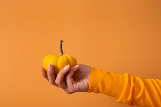 A small decorative orange pumpkin in a woman's hand in a sweater on an orange background. High quality photo