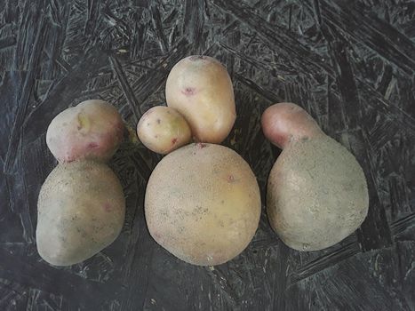 Different bizarre potatoes from a  the garden