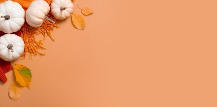 Autumn banner flat lay composition with pumpkins and fallen leaves and sweater with space for text. High quality photo