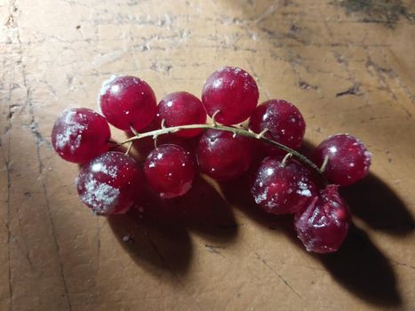 Fruits picked at the dacha in autumn