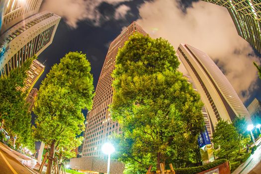 Night view of the high-rise building group of Tokyo Shinjuku. Shooting Location: Tokyo metropolitan area