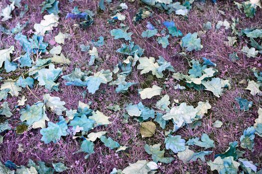 On the ground among the grass lie bright yellow and orange autumn oak leaves fell from the trees.