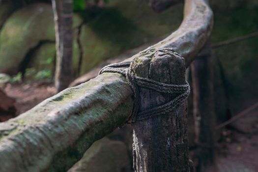 Ancient wooden fence built by tribes in the jungle.