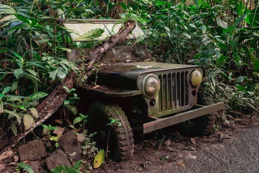 Old military SUV at the tropical zoo.