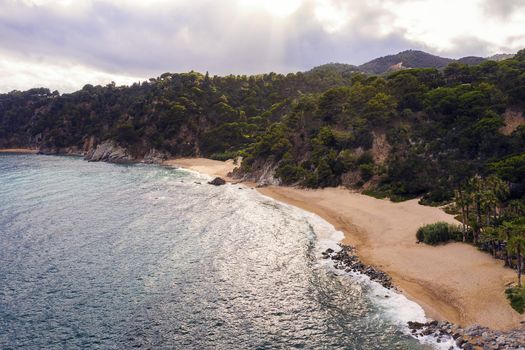 coastline with beach, virgin coves and sea cliffs covered with trees and vegetation, concept of adventure lifestyle and summer luxury holidays in the wilderness