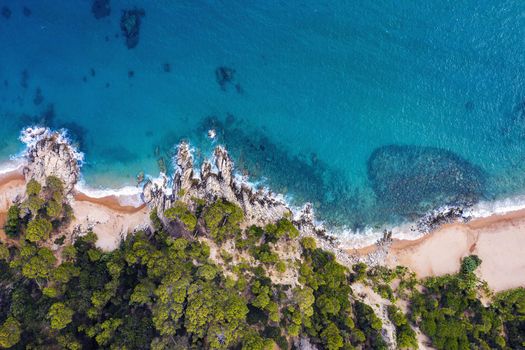aerial top view of the coastline with beach and coves of turquoise waters surrounded by sea cliffs covered with trees, concept of adventure lifestyle and summer luxury holidays in the wilderness