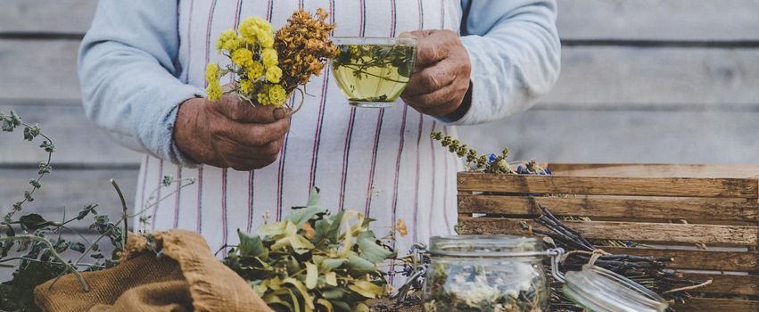 Grandmother makes tea with medicinal herbs. Selective focus. Nature.