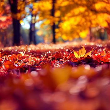 Illustration of a Yellow and orange leaves on asphalt