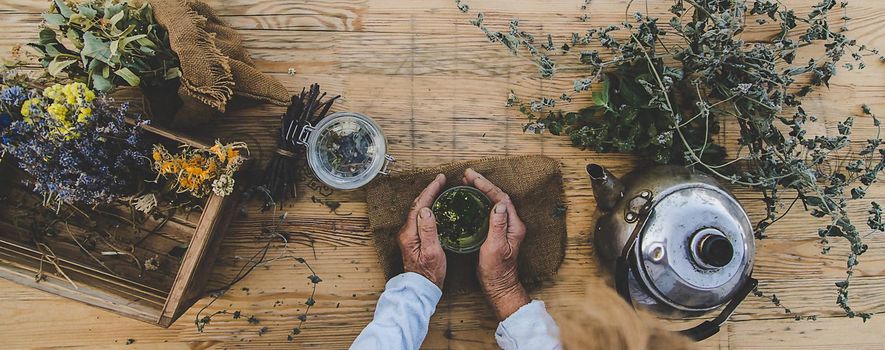 Grandmother makes tea with medicinal herbs. Selective focus. Nature.