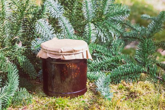 Cone jam on a stump in a pine forest.