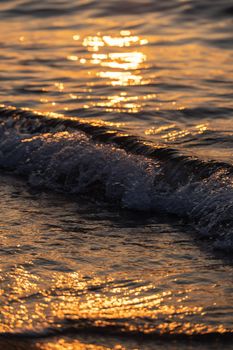 Sea wave splashes close up. Ripple sea ocean water surface with golden sunset light.