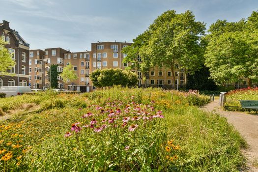 View of street near building with beauty of vegetation outside