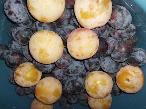 Fruits picked at the dacha in the  autumn