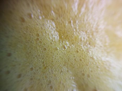 Fruit and vegetable texture macro the photography