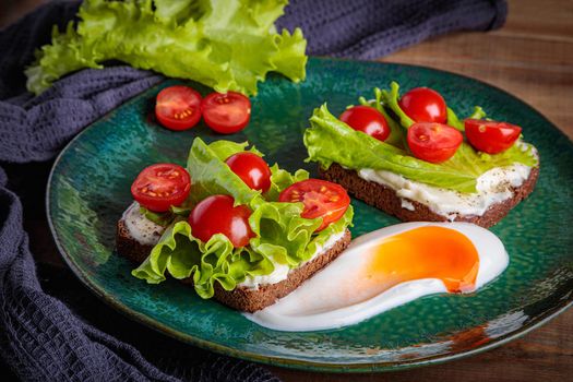 Black bread sandwich with melted cheese salad and tomatoes on a green plate
