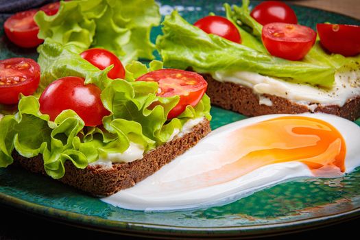 Black bread sandwich with melted cheese salad and tomatoes on a green plate
