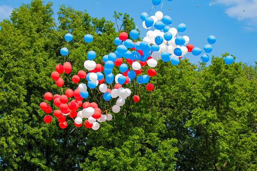 Bundles of colorful balloons soar into the sky above the forest