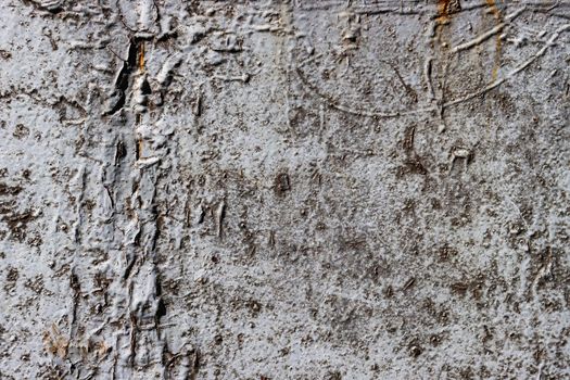 Empty Studio Background, Concrete texture. Old rough cement wall without plaster, damaged due to moisture and microorganisms.