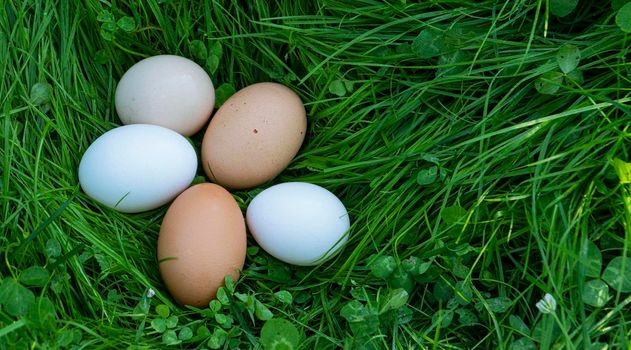 Easter eggs lie on green grass.