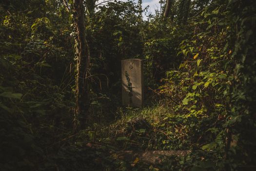 Gravestones in cemetery, Arnos Vale Cemetery. High quality photo