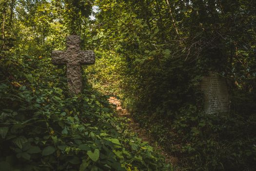 Gravestones in cemetery, Arnos Vale Cemetery. High quality photo