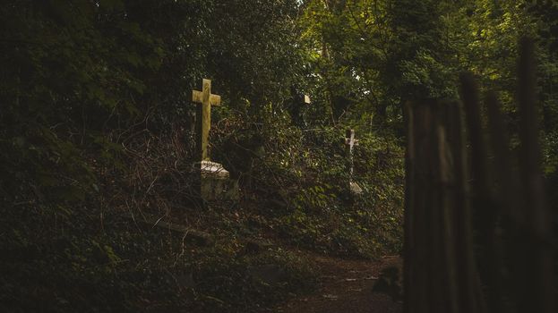 Gravestones in cemetery, Arnos Vale Cemetery. High quality photo