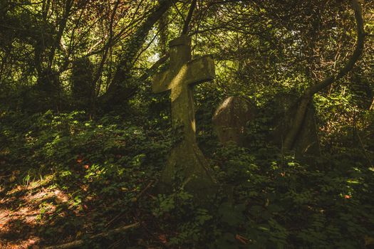 Gravestones in cemetery, Arnos Vale Cemetery. High quality photo