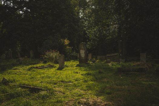 Gravestones in cemetery, Arnos Vale Cemetery. High quality photo