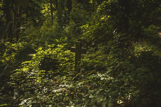 Gravestones in cemetery, Arnos Vale Cemetery. High quality photo