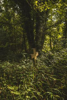 Gravestones in cemetery, Arnos Vale Cemetery. High quality photo