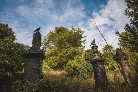 Gravestones in cemetery, Arnos Vale Cemetery. High quality photo